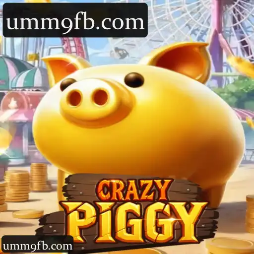CrazyPiggy